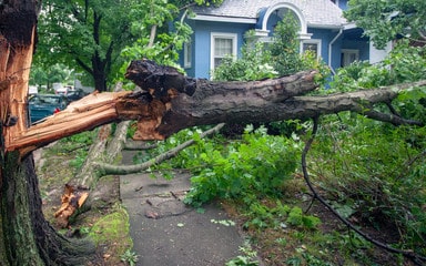 hurricane